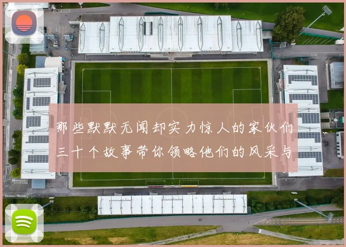 那些默默无闻却实力惊人的家伙们三十个故事带你领略他们的风采与传奇