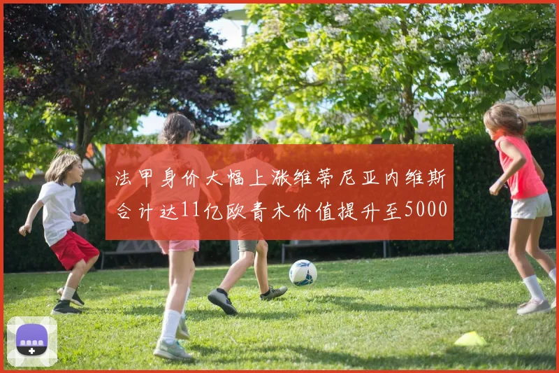 法甲身价大幅上涨维蒂尼亚内维斯合计达11亿欧青木价值提升至5000万