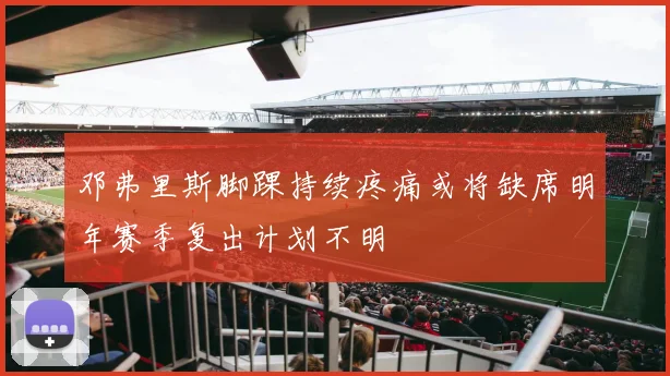 邓弗里斯脚踝持续疼痛或将缺席明年赛季复出计划不明