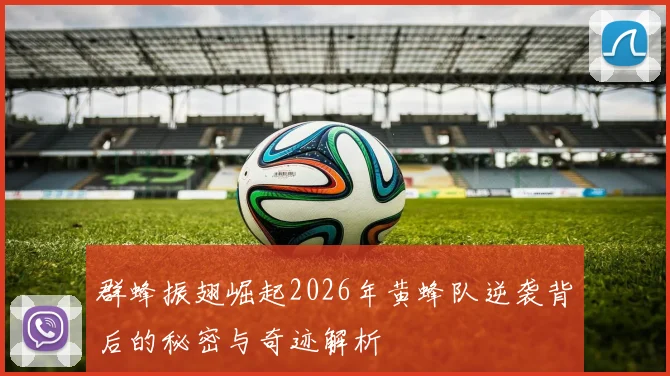 群蜂振翅崛起2026年黄蜂队逆袭背后的秘密与奇迹解析
