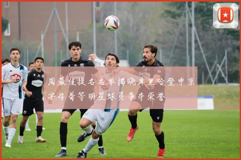 周最佳提名名单揭晓库里哈登申京字母哥等明星球员争夺荣誉