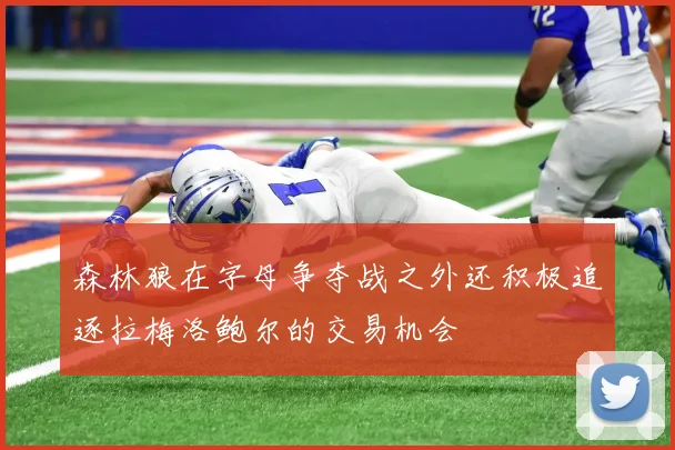 森林狼在字母争夺战之外还积极追逐拉梅洛鲍尔的交易机会