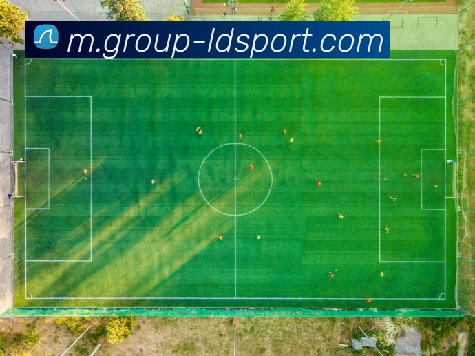 乐动体育发展历程