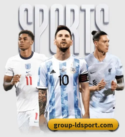 乐动体育 APP | LDSPORTS